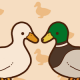 アヒルかも? Duck or Duck