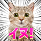 よく見ると変な画像