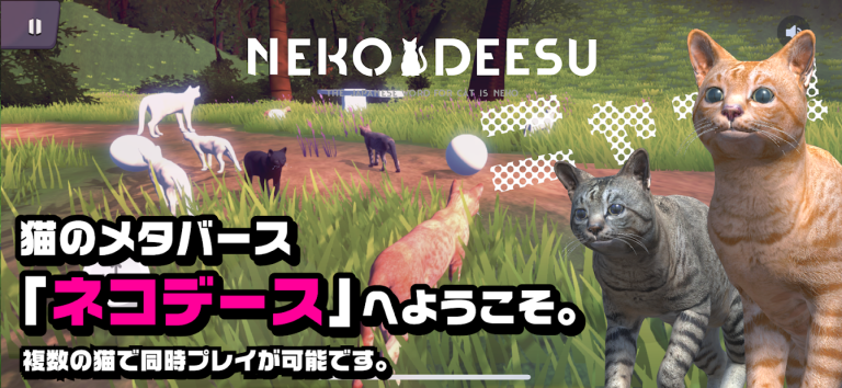 ネコデース｜猫のメタバース、サクッと遊べるクリケットゲーム！！