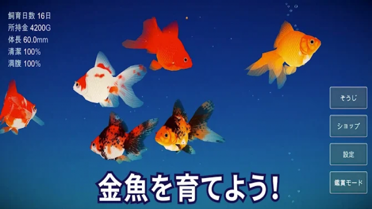 『ポケット金魚』手軽に金魚が育てられるペット育成アプリゲーム！