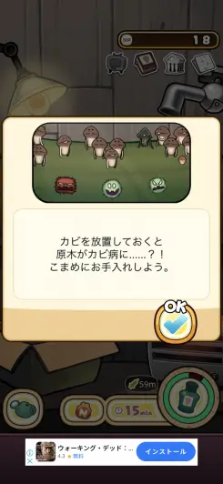 カビには要注意だ！！