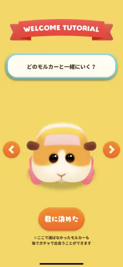 あなたの推しモルカーを選択しよう！