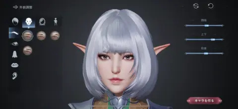 かなり細かいキャラメイキングが可能！！