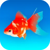 ポケット金魚