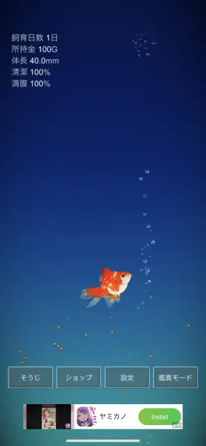 金魚に餌をあげてどんどん大きくしていこう！