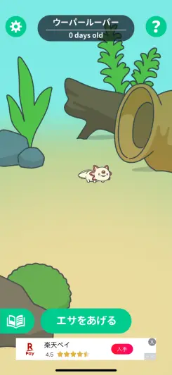 餌をあげたり眺めたりして楽しもう！！