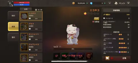 ペットと一緒に冒険しよう！